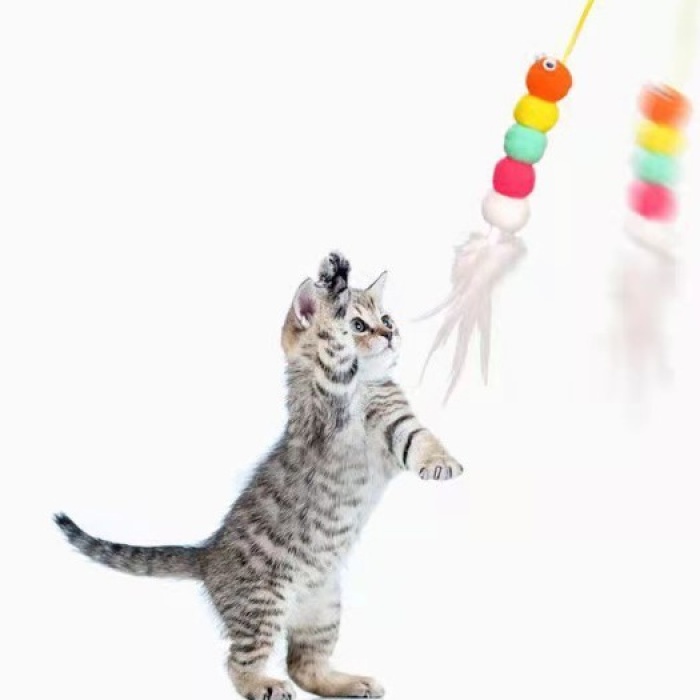 Elastik Kendinden Yapışkanlı Solucan Kedi Oltası (5343)