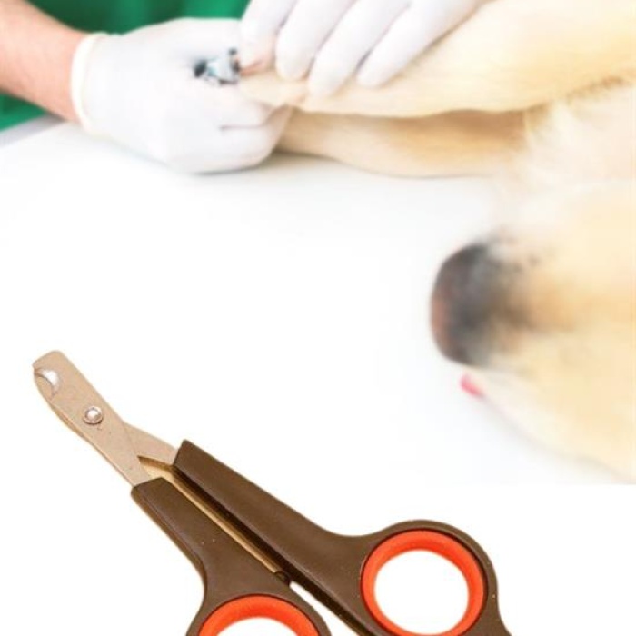 Küçük Çelik Uçlu Kedi Köpek Evcil Hayvan Tırnak Makası Pati Bakım Aleti Ergonomik Kaymaz Sap (5343)