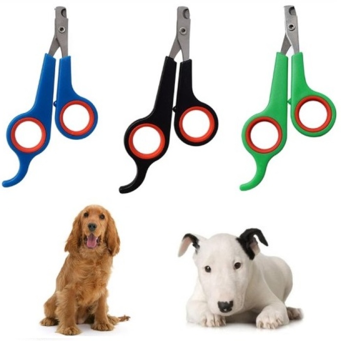 Kedi Köpek Tırnak Makası Renkli Poşetli (5343)