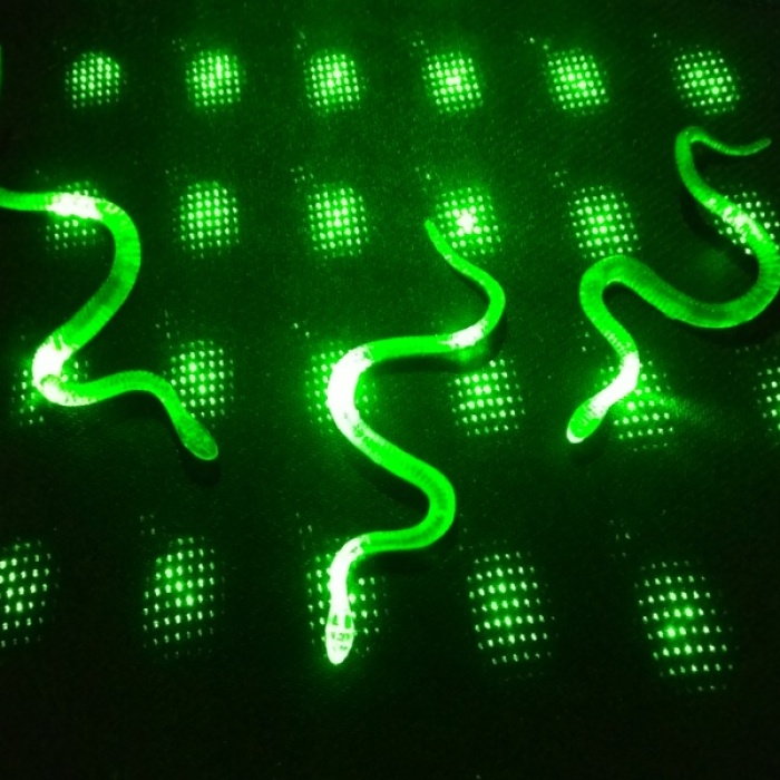 Şaka Yılan ve Kırkayak Karışık 36 Adet (5343)