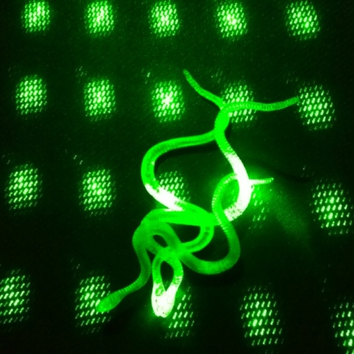 Şaka Yılan ve Kırkayak Karışık 36 Adet (5343)