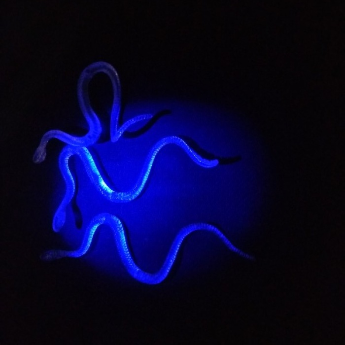 Şaka Yılan ve Kırkayak Karışık 36 Adet (5343)