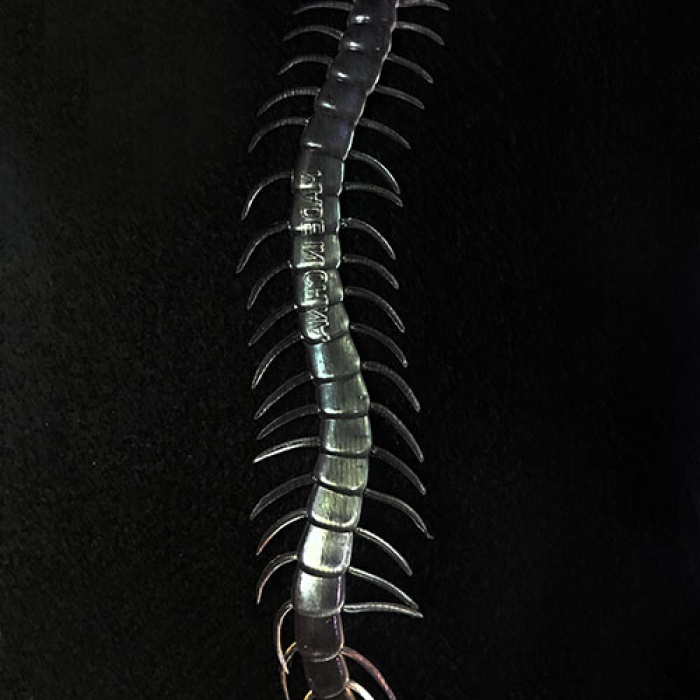 Şeffaf Renk Karanlıkta Parlayan Fosforlu Kırkayak 13 cm 1 Adet (5343)