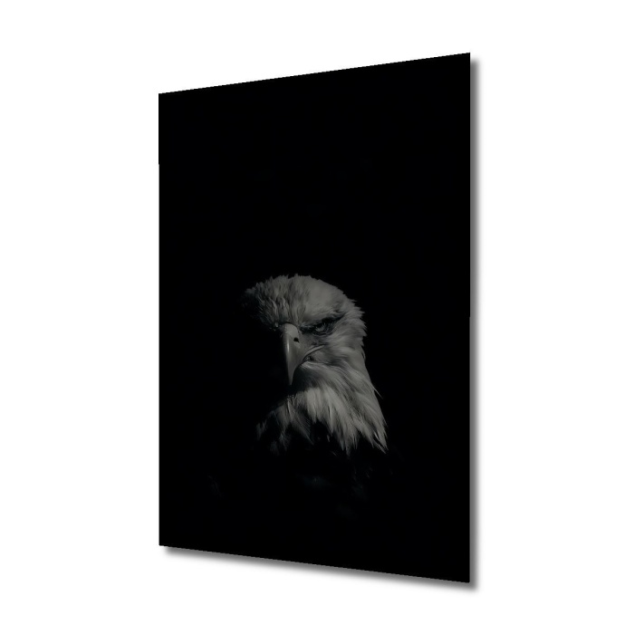 Çerçeve Görünümlü Dekoratif Ahşap Kare Kararlı Kartal Tablosu Ev/Ofis/İşyeri Tablo