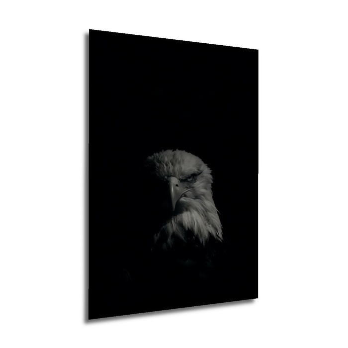 Çerçeve Görünümlü Dekoratif Ahşap Kare Kararlı Kartal Tablosu Ev/Ofis/İşyeri Tablo