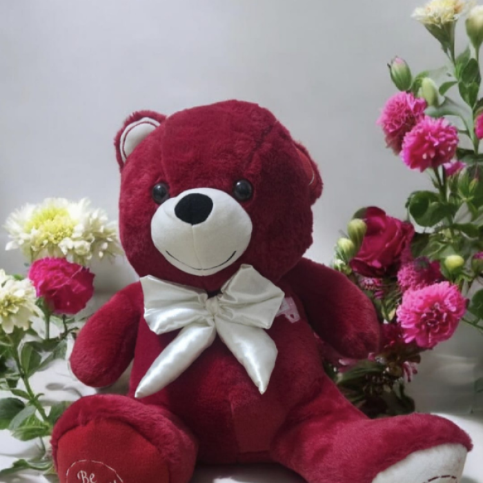 80 cm Kırmızı Balım Ayısı Peluş Oyuncak – Büyük Boy, Yumuşak ve Sevimli Ayıcık