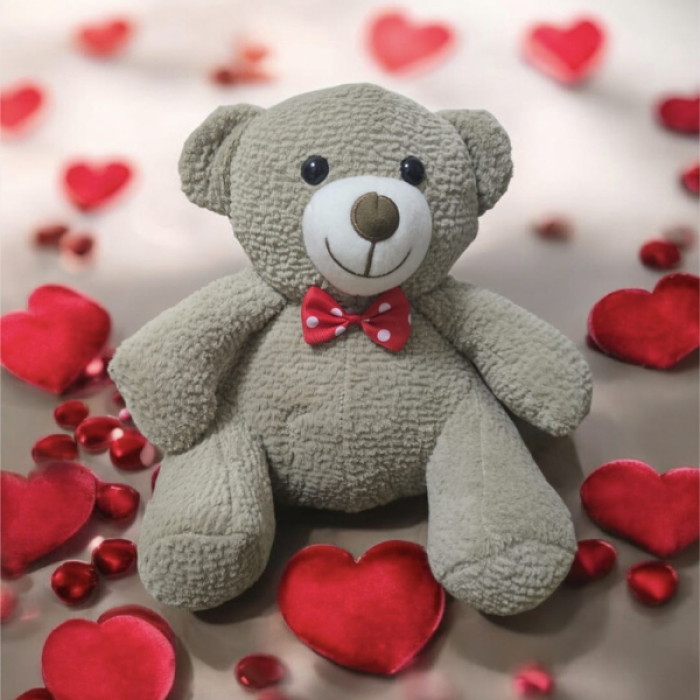 25 cm Gri Peluş Ayıcık – Yumuşak Dokulu, Sevimli ve Hediyeli