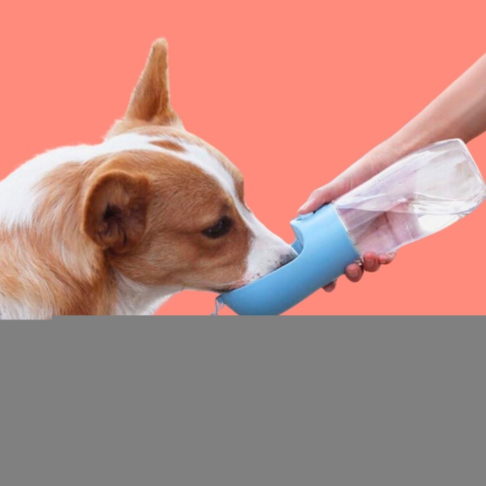 450 ml Taşınabilir Butonlu Evcil Hayvan Suluğu (5343)