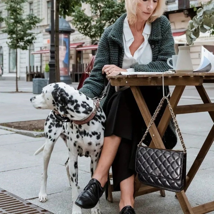 Masaya Takılabilen Çanta Askısı Çanta Tipi Pratik Metal Çanta Kanca (5343)