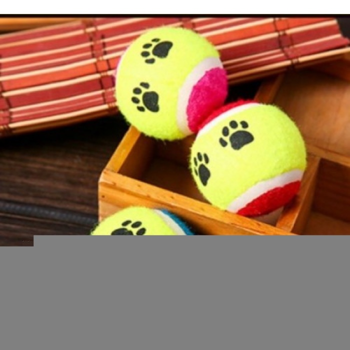 At Getir Köpek Eğitim Topu (5343)