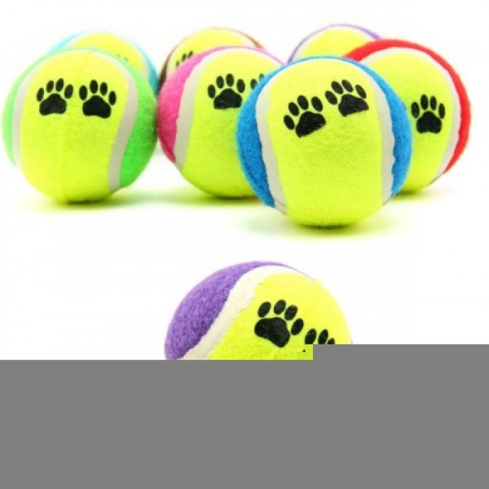 At Getir Köpek Eğitim Topu (5343)