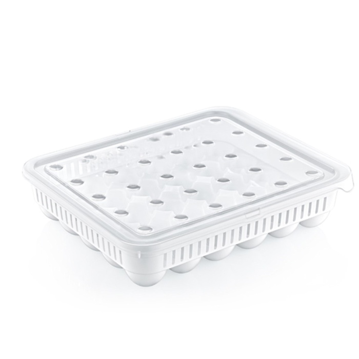 30&amp;apos;lu Yumurta Saklama Kabı (5343)