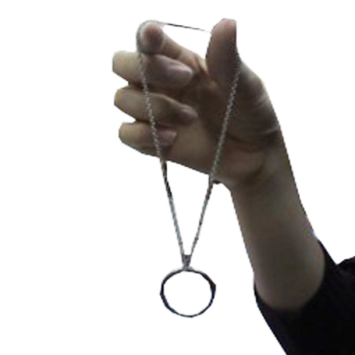 Sihirli Halka İllüzyon Oyunu Sihir Şaka Sihir Malzemesi (5343)