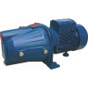 Catpower Döküm Gövde Jet Pompa 1 Hp 760 W