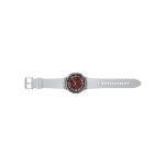 SAMSUNG SAMSUNG Watch 6 Classic (43mm) Gümüş Akıllı Saat