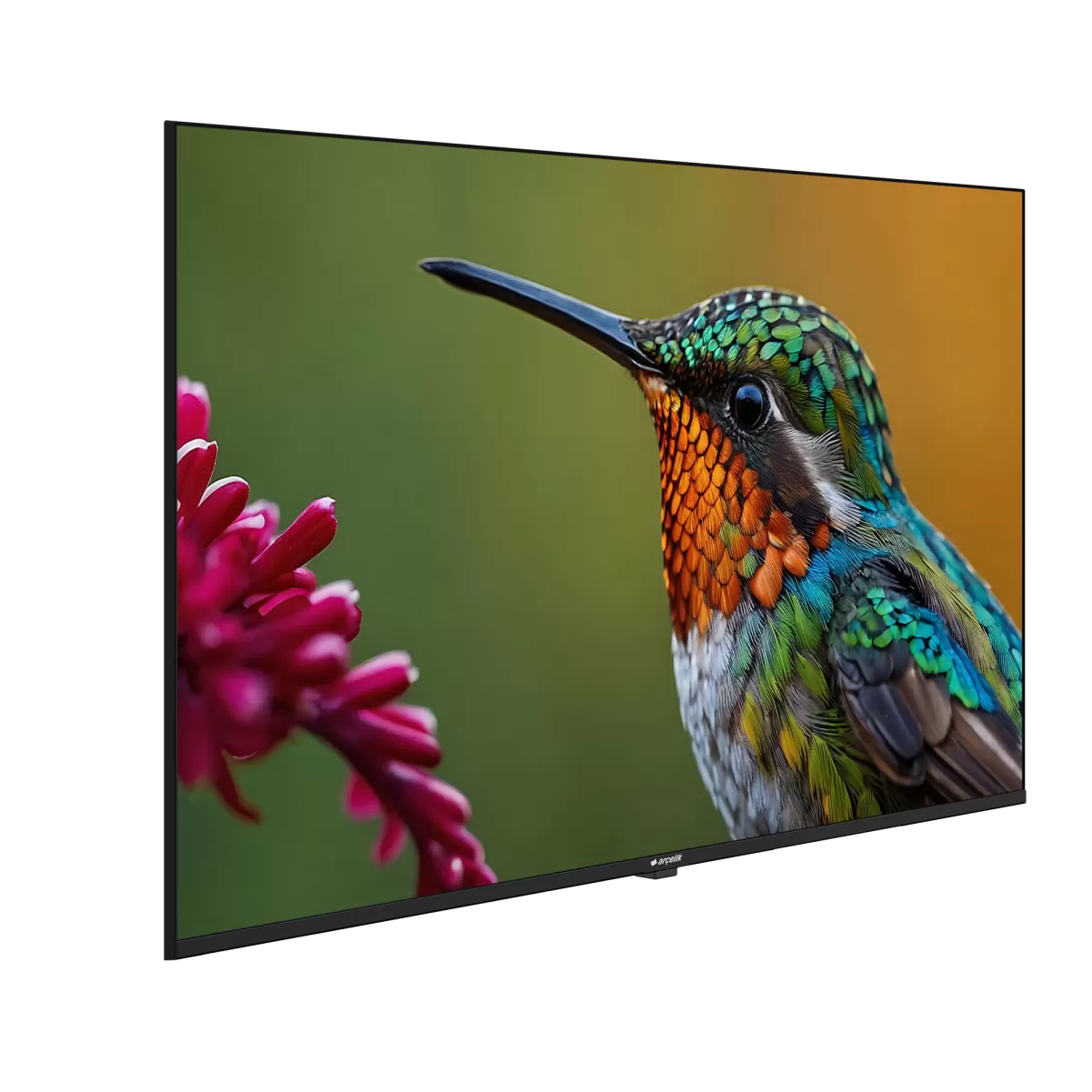 ARÇELİK A55HU 500B2-A-BI Hotel Tv