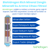 Biohidrogen Rich Mineral 13 Aşamalı Zengin Mineralli Su Arıtma Cihazı
