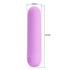 Stefan Mini Massager Bullet Vibratör Mor