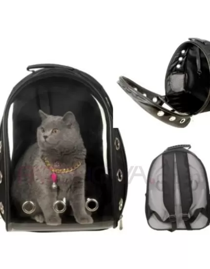 Trop Model Kırılmaz Silikon Cam Sırt Taşıma Çantası (Karışık Renk)