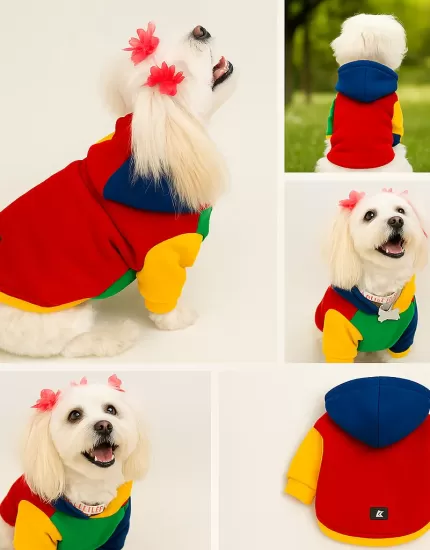 Colorful Sweatshirt S-M-M-L-XL (5 BEDEN SET)