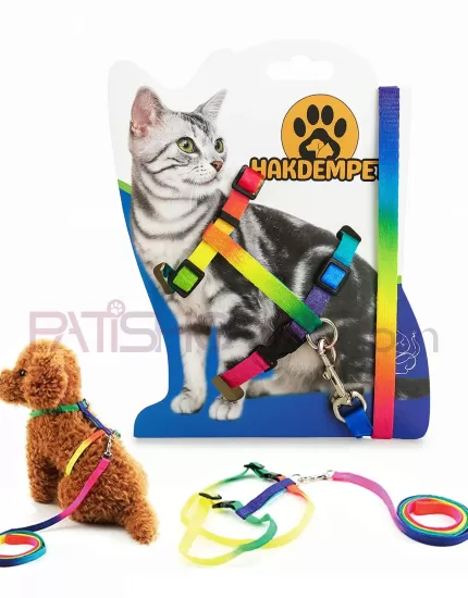 Küçük Irk Gökkuşağı Bel Tasması