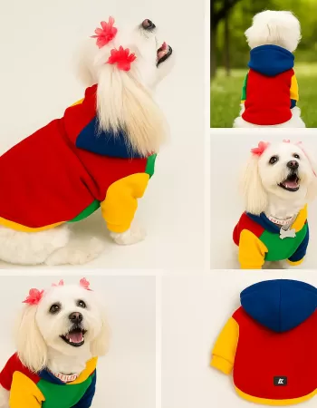 Colorful Sweatshirt S-M-M-L-XL (5 BEDEN SET)