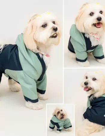 4 Bacak Yağmurluk M-L-XL-2XL-3XL 5 BEDEN SET