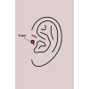 316l Çelik Gümüş Renk Dal Model Zirkon Taş Detaylı Tragus Piercing - Tj-pr1343