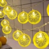 2 M 10 Led Pilli 2 Kademeli Limon Led Işık 6200-269