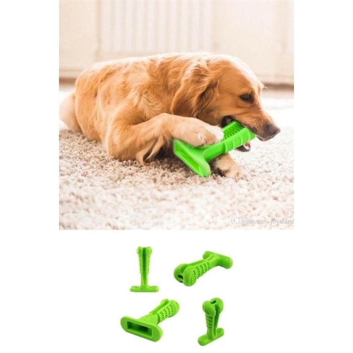 Köpek Diş Temizleyici Ve Kaşıyıcı Sağlıklı Küçük Boy Oyuncak