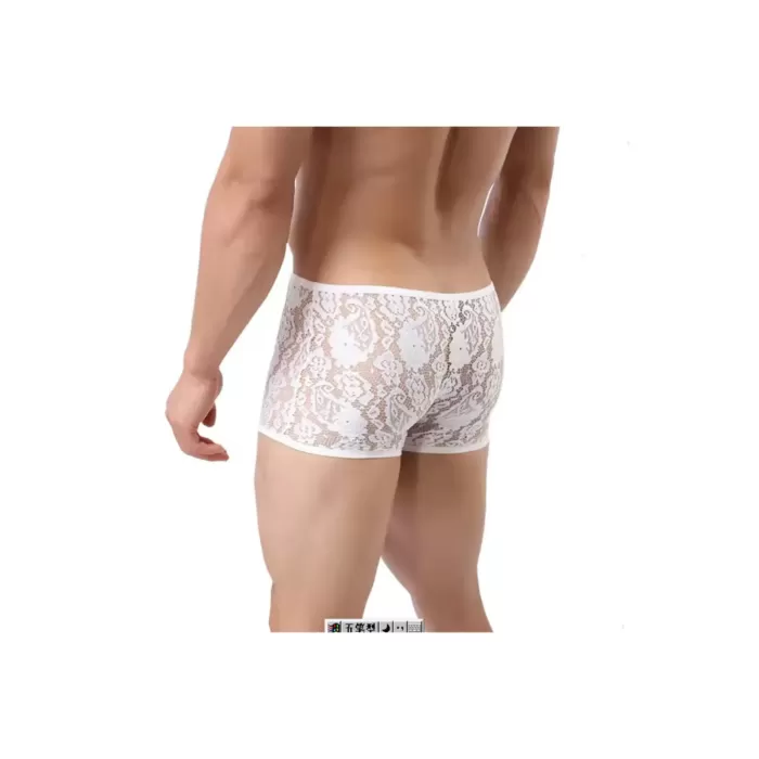 Fantezi Dantelli Beyaz Seksi Erkek Boxer - Erkek İç çamaşırı BC4613