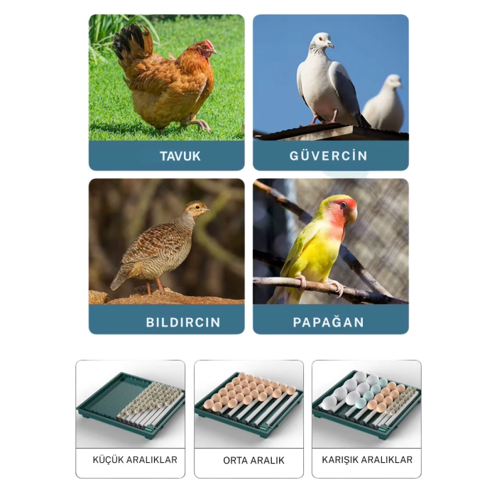 Slim Yeni Model 130’lu Gün Sayaçlı Otomatik Kuluçka Makinesi – Tavuk Kaz Ördek Kuş Yumurtası Uyumlu