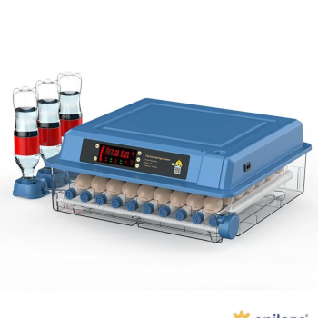 60 Yumurta Kapasiteli Tam Otomatik Kuluçka Makinesi - Civciv, Kaz, Hindi Ve Ördek Yetiştiriciliği Epo-w60