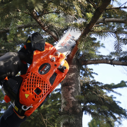 Roney Power Cs Pro 25 Benzinli Ağaç Kesme Motoru 24,4 Cc