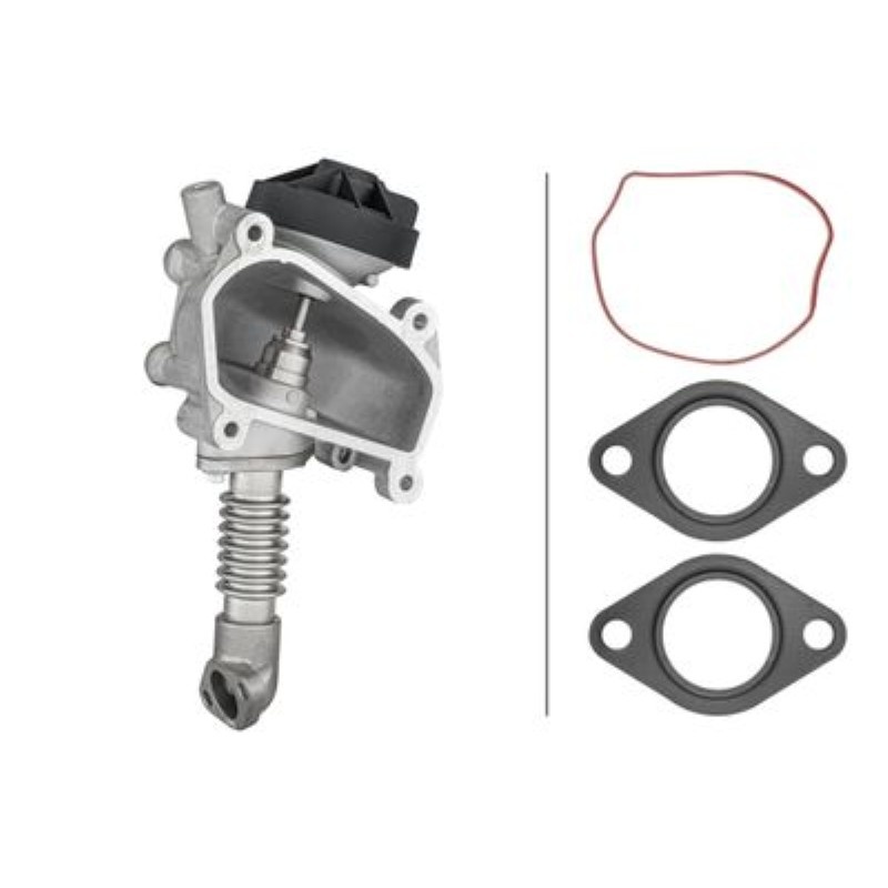 EGR VALFI MERCEDES OM611 SPRINTER/VITO CDI 6110900954