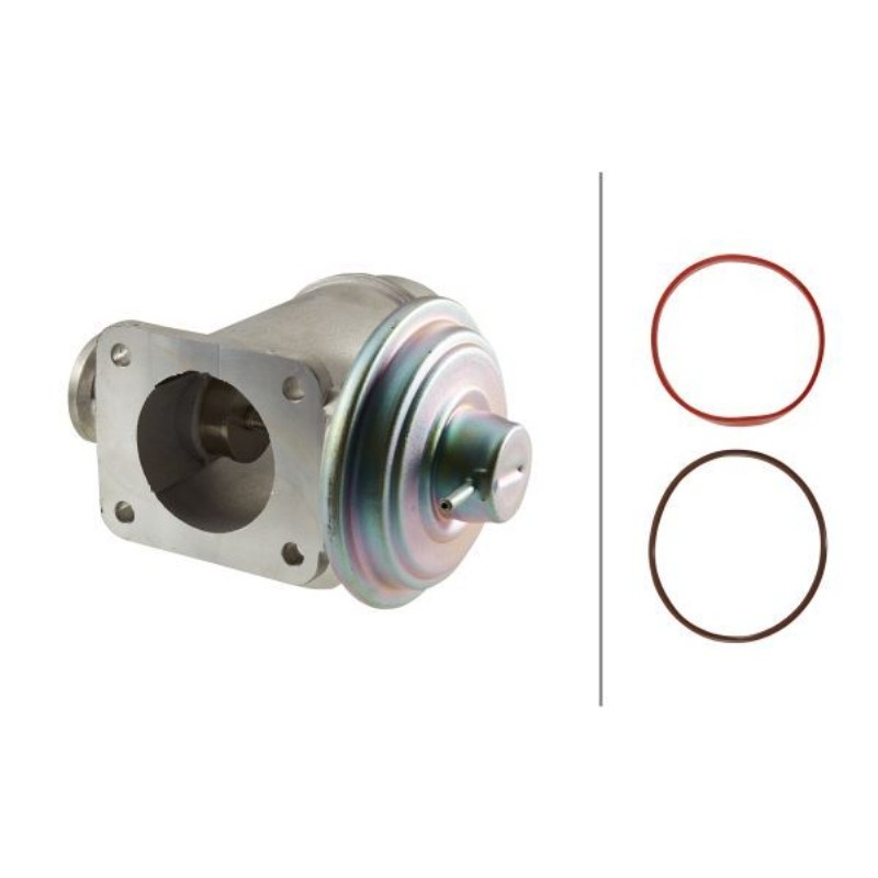 EGR VALFI BMW M57N E46/53/60/65 11717804379