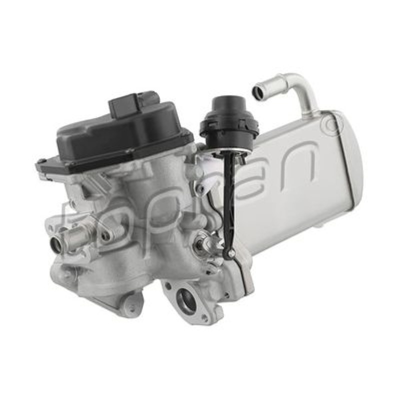 EGR VALFI-SOGUTUCU (AUDI A4 08-16  A5 12-16  A6 11-17  Q5 09-12  SEAT EXEO 09-14) 03L131512BG