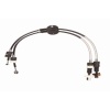 ---VITES TELI (FORD FOCUS 1.0 2.0 98-05) 5 VITES 1069377