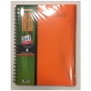 Gıpta Plastik Kapak 3+1 Defter 150 Yp Telli Defter