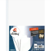 Dosy Poşet Dosya A4 100 Lü Ekonomik Paket