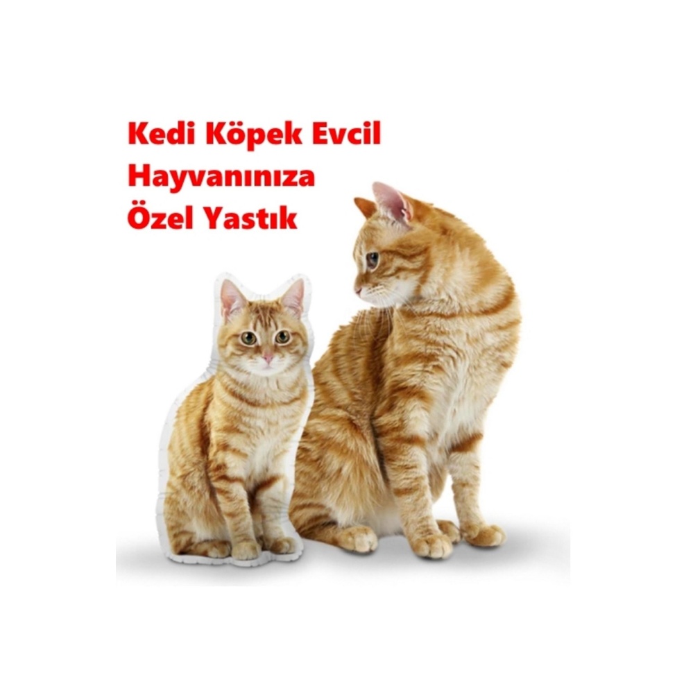 Kişiye Özel Kedi Köpek Evcil Hayvanınıza Özel Yastık