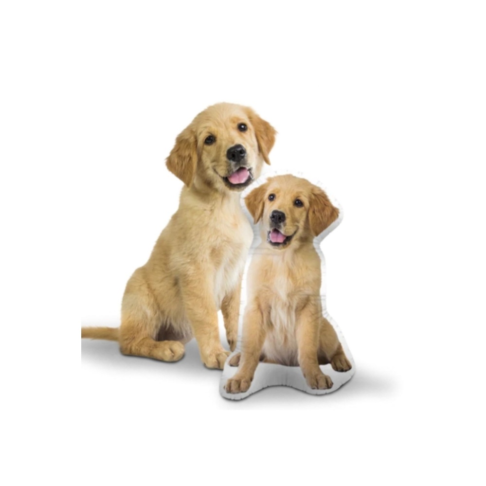 Kişiye Özel Kedi Köpek Evcil Hayvanınıza Özel Yastık