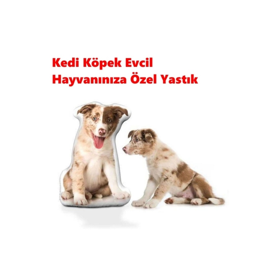 Kişiye Özel Kedi Köpek Evcil Hayvanınıza Özel Yastık