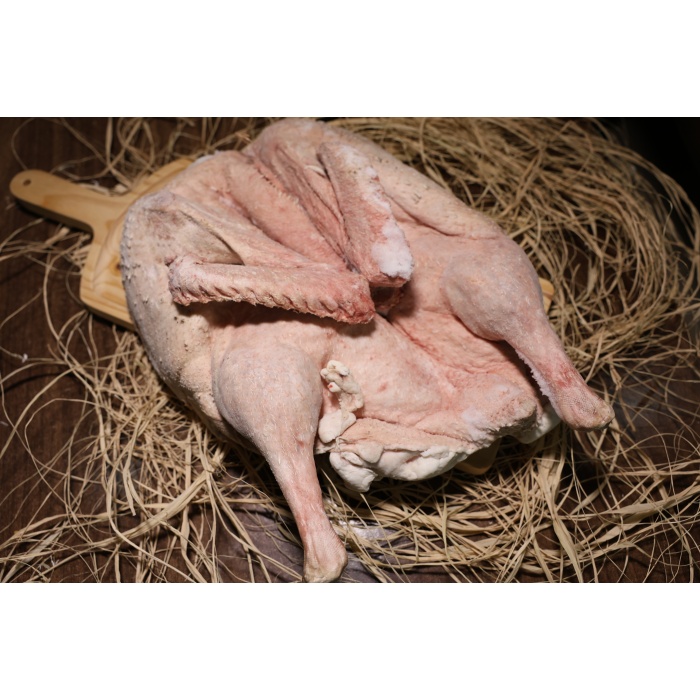 KURUTULMUŞ KARS KAZI 2300-3000GR ARASI