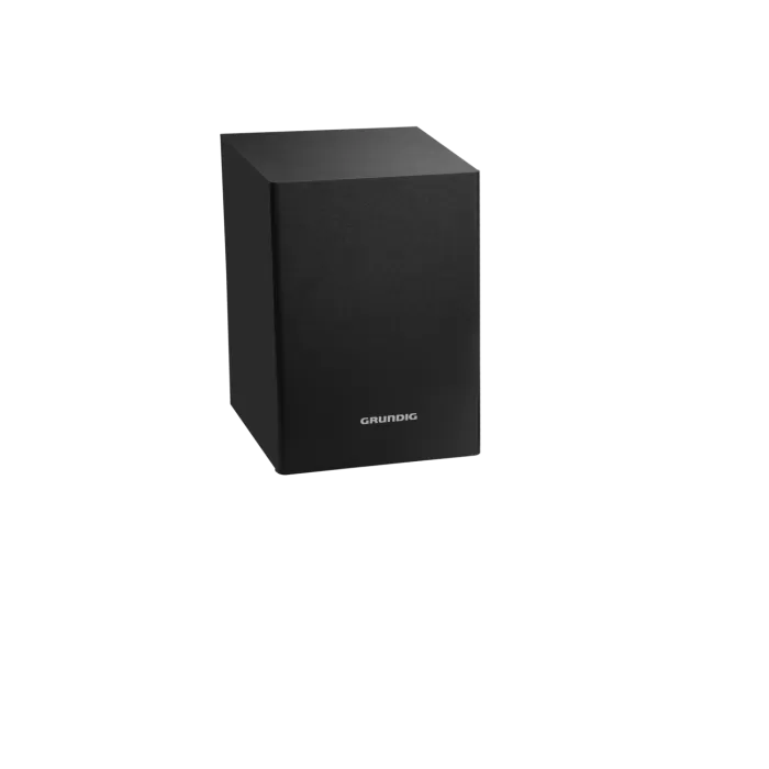 GRUNDIG DSB 995 Hoparlör