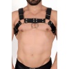 Erkek Göğüs Harness, Deri Erkek Fantazi Giyim, Erkek Clubwear - APFTM214
