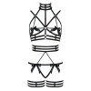 Özel Tasarım Seksi Harness Takım - APFT350