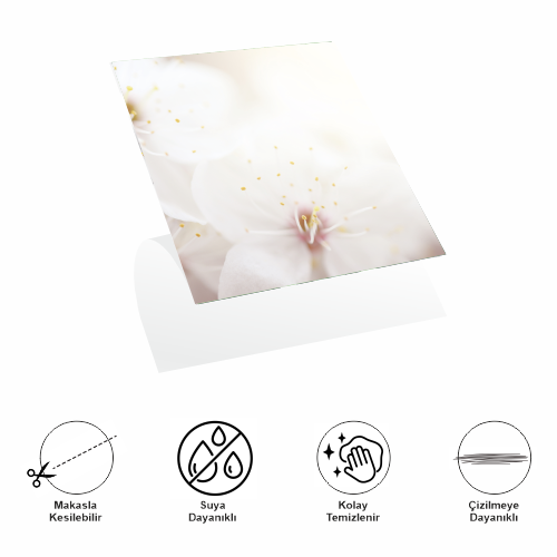 Decohandy 30X30 Cm Pvc Duvar Karosu 4'Lü Paket - Japon Çiçeği