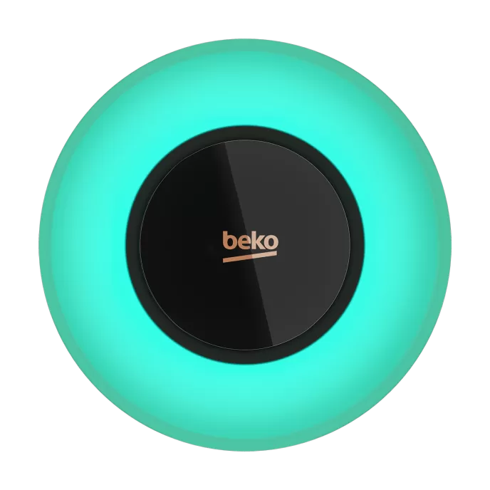 BEKO BAE 1001 S İç Hava Kalitesi