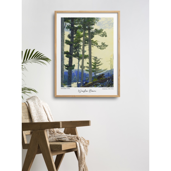 HOMEPACK AHŞAP ÇERÇEVELİ TEK PARÇA TABLO POSTER TABLO TK/190